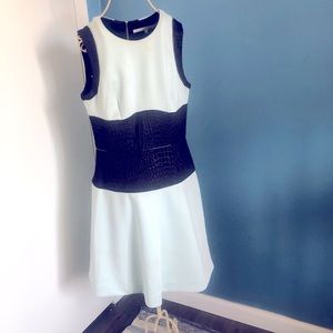 Rachel Roy light green and black sheath dress